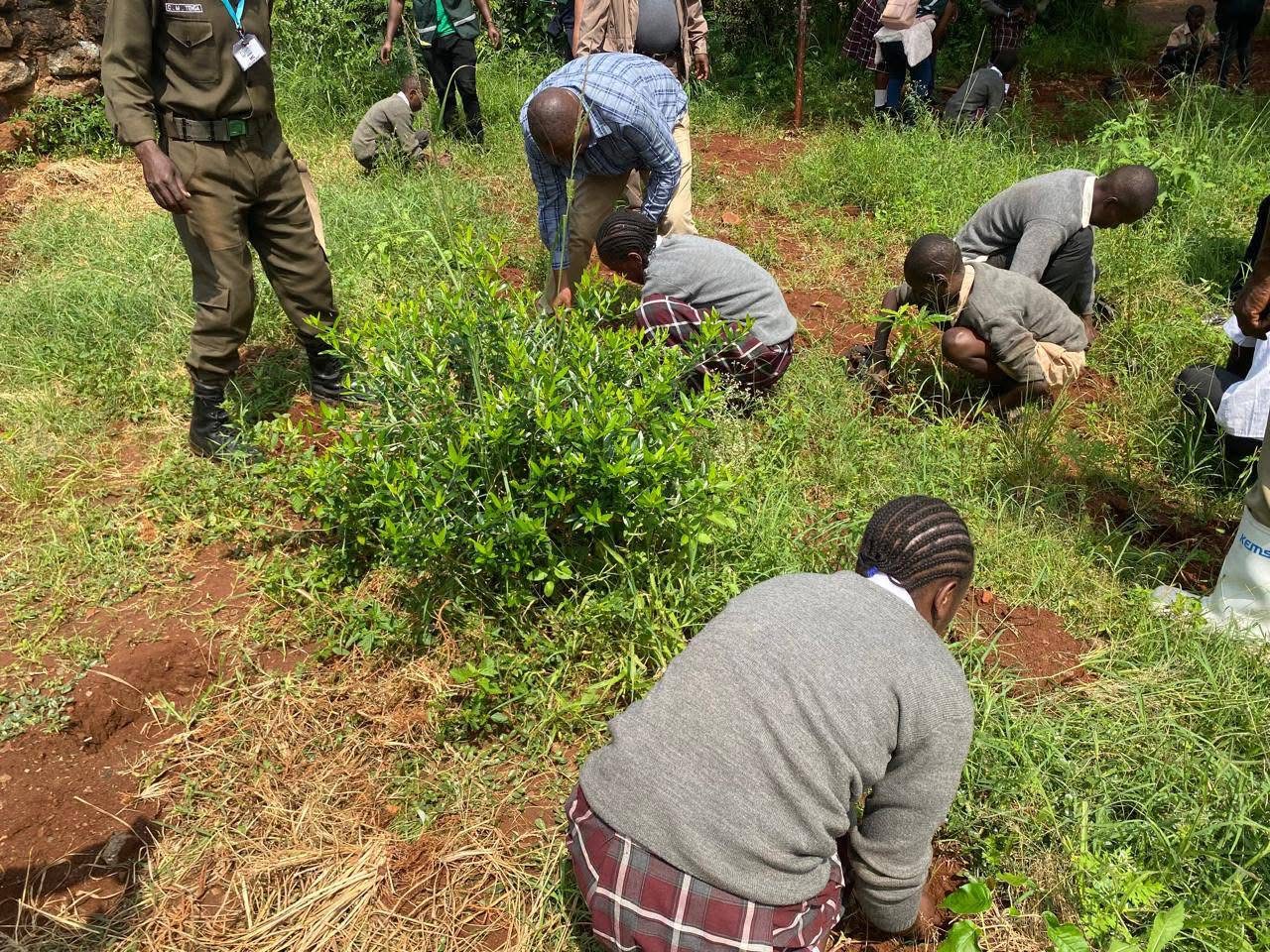 Tree Planting on World Environment Day